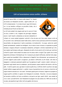 W il circo senza animali (Classe quinta Scuola