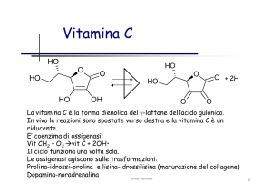 vitamina b1