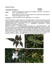 alberi e arbusti - Istituto Serpieri Bologna