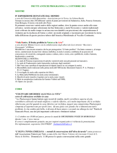 Visualizza Documento 1
