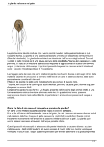 la giardia nel cane e nel gatto