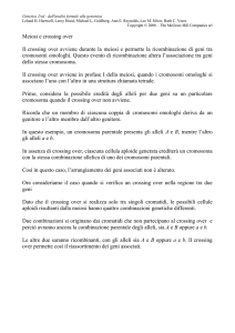 Meiosi e crossing over