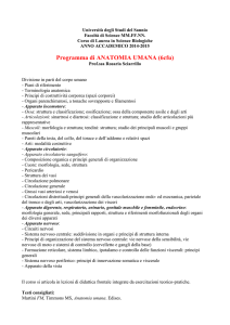 Anatomia Umana - dst.unisannio.it