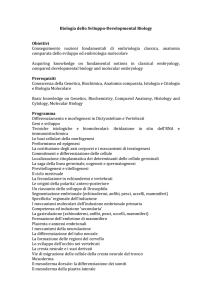 Biologia dello Sviluppo