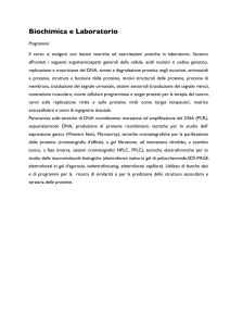 Programma Biochimica e Laboratoriox guida