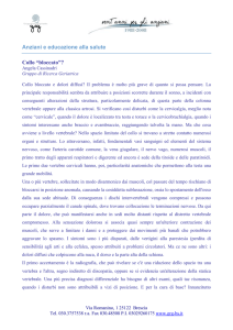 scarica pdf - Gruppo di Ricerca Geriatrica