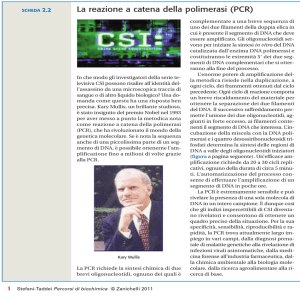 La reazione a catena della polimerasi (PCR)