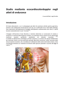 Articolo - My Personal Trainer