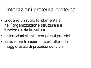 Diapositiva 1 - e