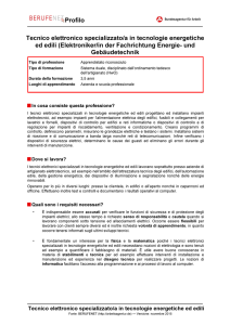 Profilo Tecnico elettronico specializzato/a in tecnologie energetiche