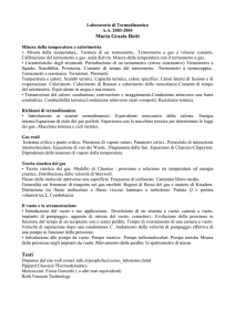 Maria Grazia Betti Testi