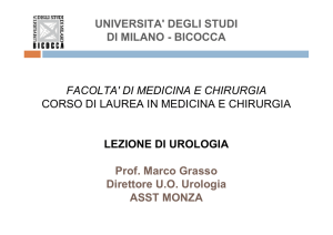 UNIVERSITA` DEGLI STUDI DI MILANO