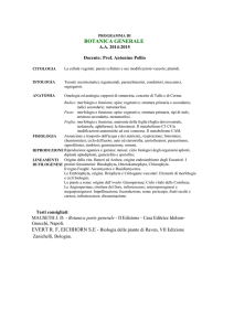 botanica generale - Dipartimento di Biologia