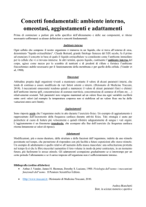 Concetti fondamentali: ambiente interno, omeostasi, aggiustamenti