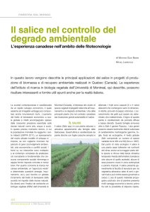 Il salice nel controllo del degrado ambientale