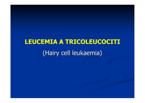 LEUCEMIA A TRICOLEUCOCITI (Hairy cell leukaemia)