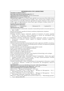 PDF - Dipartimento di Scienze e Tecnologie