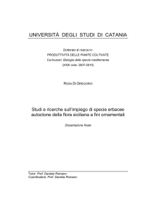 Visualizza/apri
