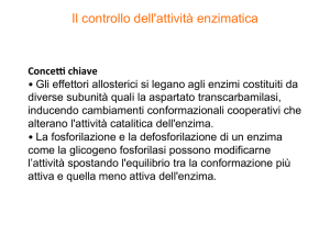 LEZ 05.2 Regolazione Enzimatica BME ODDI 2015_2016