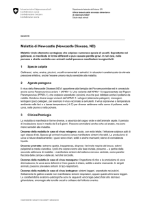 Malattia di Newcastle (Newcastle Disease, ND)