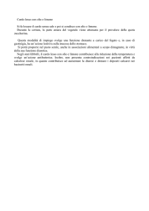 Cardo lesso con olio e limone - Benvenuti nel sito della Dr.ssa Anna