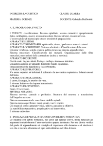 INDIRIZZO: LNGUISTICO CLASSE: QUARTA MATERIA: SCIENZE