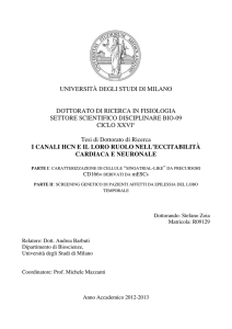 UNIVERSITÀ DEGLI STUDI DI MILANO DOTTORATO DI RICERCA