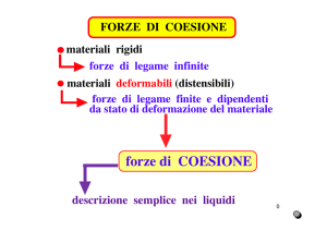 forze di COESIONE