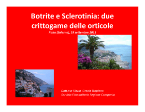 Botrite e Sclerotinia