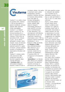 n ew sd alle azien de - O.F. Ottica Fisiopatologica