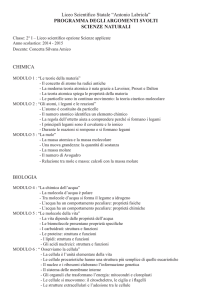 PROGRAMMA DEGLI ARGOMENTI SVOLTI