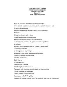Liceo Scientifico A