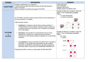 TERMINE DEFINIZIONE ESEMPIO CARATTERE FATTORE o ALLELE
