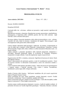 Liceo Classico e Internazionale “C. Botta” – Ivrea PROGRAMMA