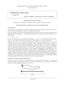 OLIMPIADI DI FISICA 2004