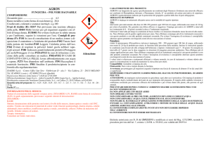 Etichetta ministeriale CLP
