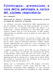 Fitoterapia: prevenzione e cura delle patologie a carico del sistema