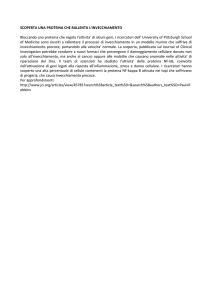 proteina che rallenta l`invecchiamento