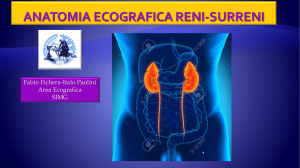 scansione longitudinale