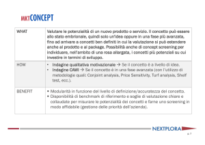 WHAT Valutare le potenzialità di un nuovo prodotto o