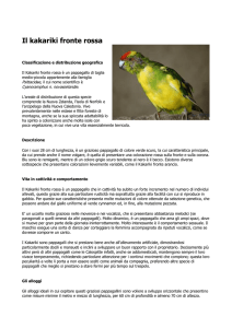 leggi tutto - Ambulatorio Veterinario S.Giorgio in Bosco