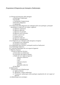 Programma di Diagnostica per Immagini e