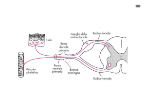 Diapositiva 1