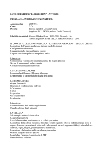 Scienze - Liceo Scientifico Statale Ruffini Viterbo