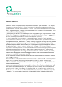 Sistema endocrino - Polispecialistica Roma Quattro
