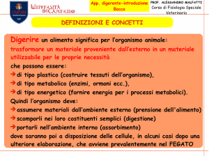 BOCCA