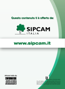 Monitoraggio diabrotica, quali soglie di intervento