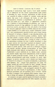 vigorosa. Il mesenchima degli scarsi e brevi lembi rachitici non si