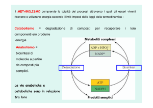 2 ATP