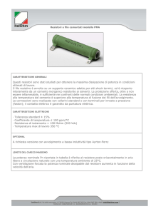 File formato PDF